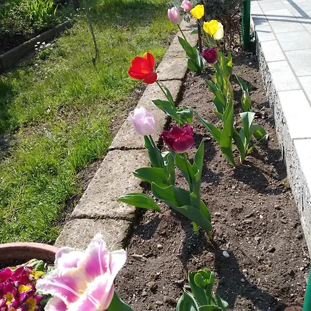 La Casa Di Rina Holiday home